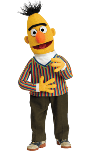 This is the Avatar Image for the Bert From Sesame Street AI Voice and Text to Speech Generator